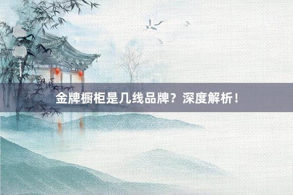 金牌橱柜是几线品牌?深度解析!